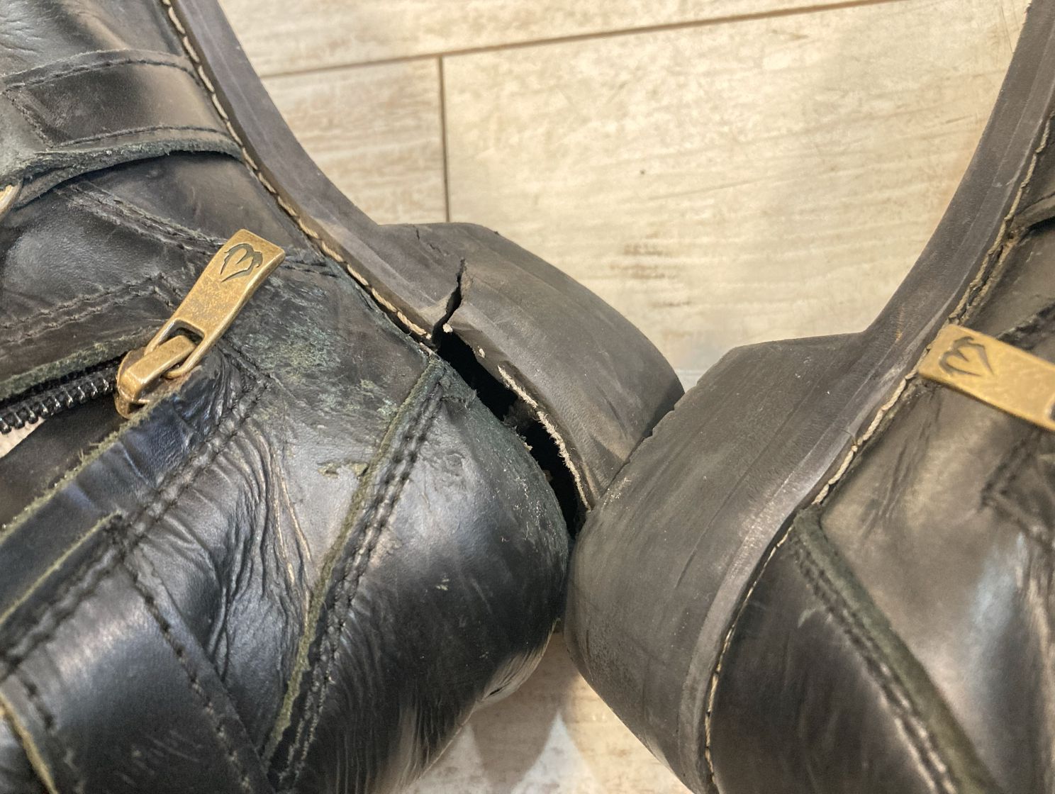 ワイルドウィング WILDWING ファルコン